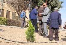 گزارش تصویری از آئیین درختکاری و تقدیر ازهمکاران فضای سبز دانشگاه